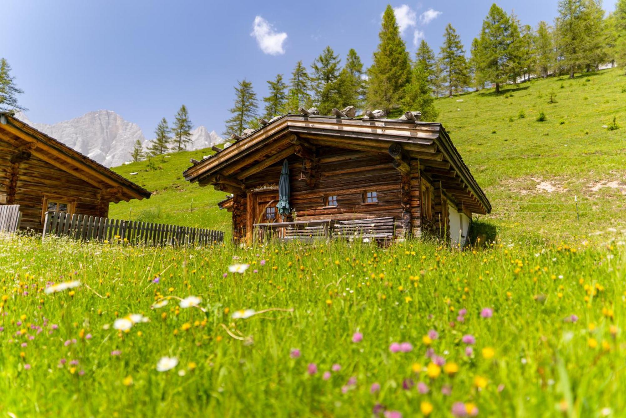 Apartament Brandhof Ramsau am Dachstein Zewnętrze zdjęcie